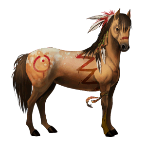 toulaví koně- Cochise