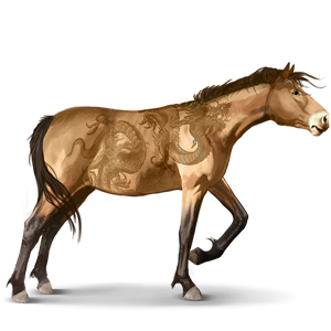 Divocí koně- Misaki pony