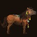 toulaví koně- Chán