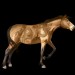 Divocí koně- Misaki pony